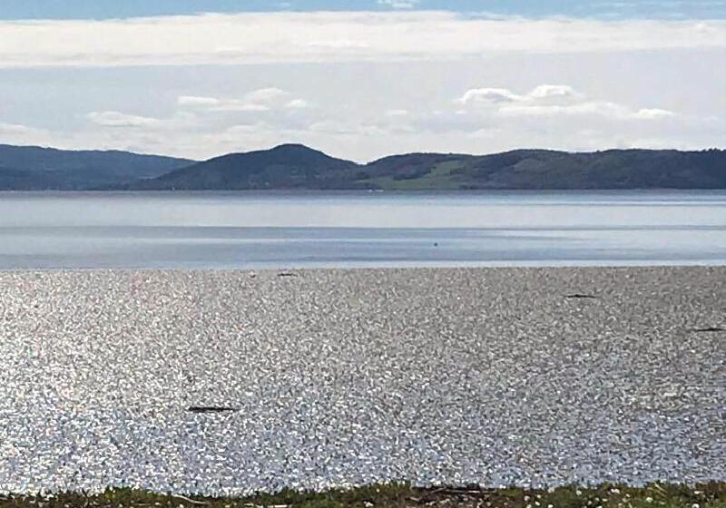 بنسيون Broomlea