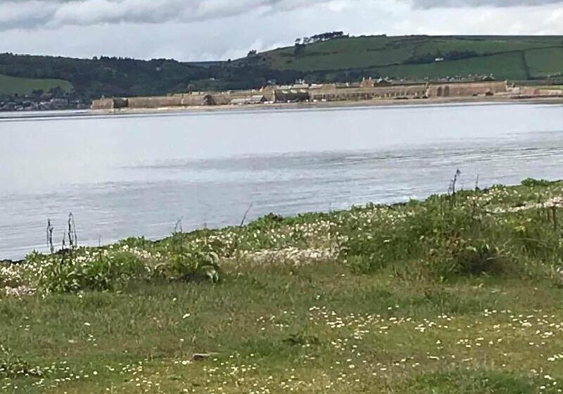 بنسيون Broomlea