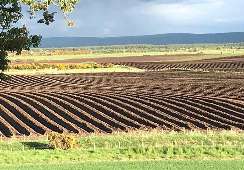 بنسيون Broomlea