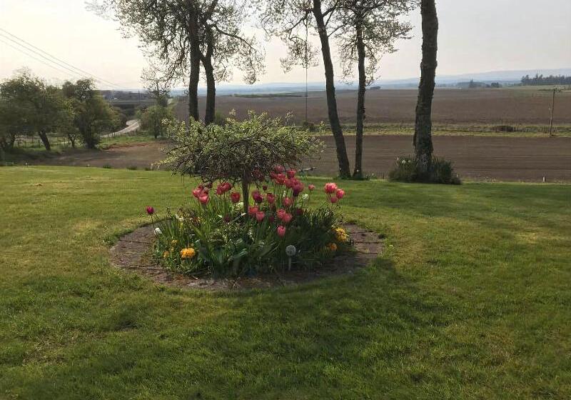 بنسيون Broomlea