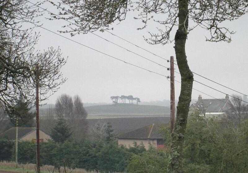 بنسيون Broomlea