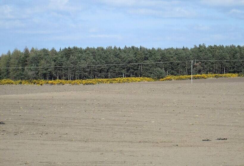 بنسيون Broomlea