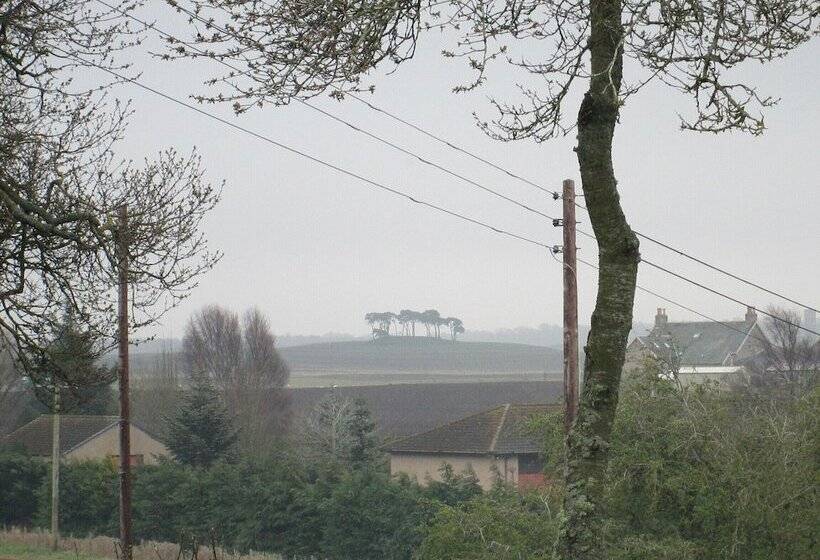 بنسيون Broomlea