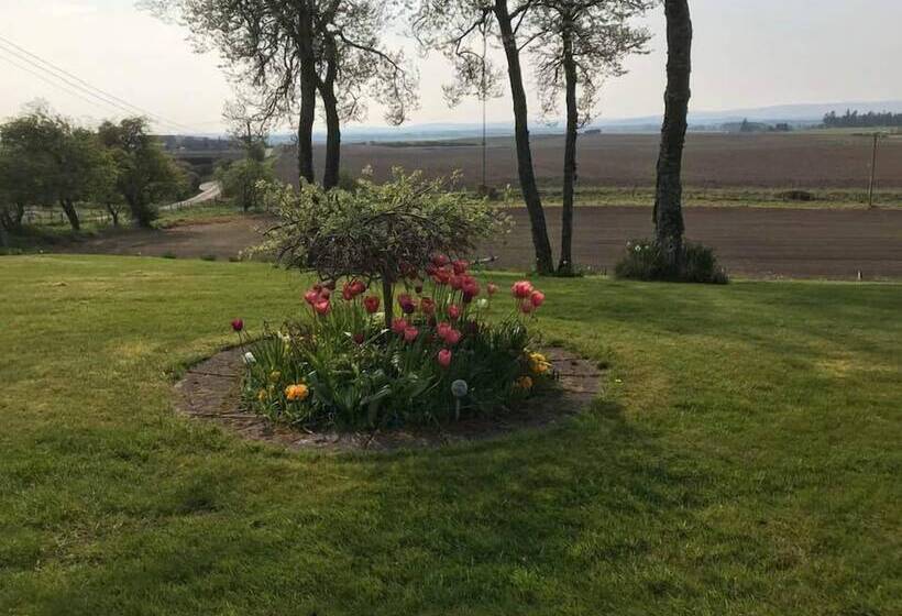 بنسيون Broomlea