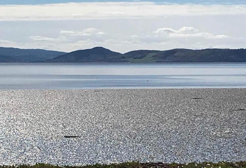 بنسيون Broomlea