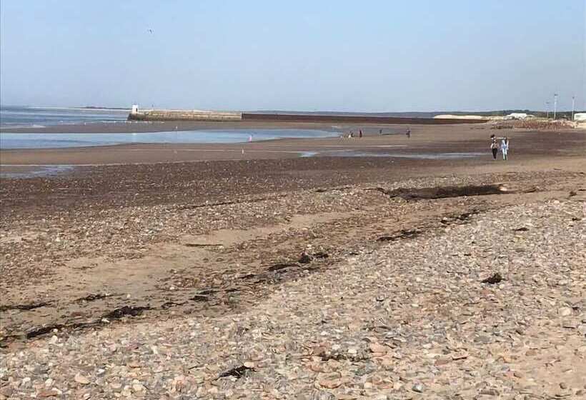 بنسيون Broomlea