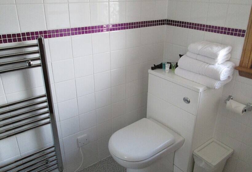 بنسيون Broomlea