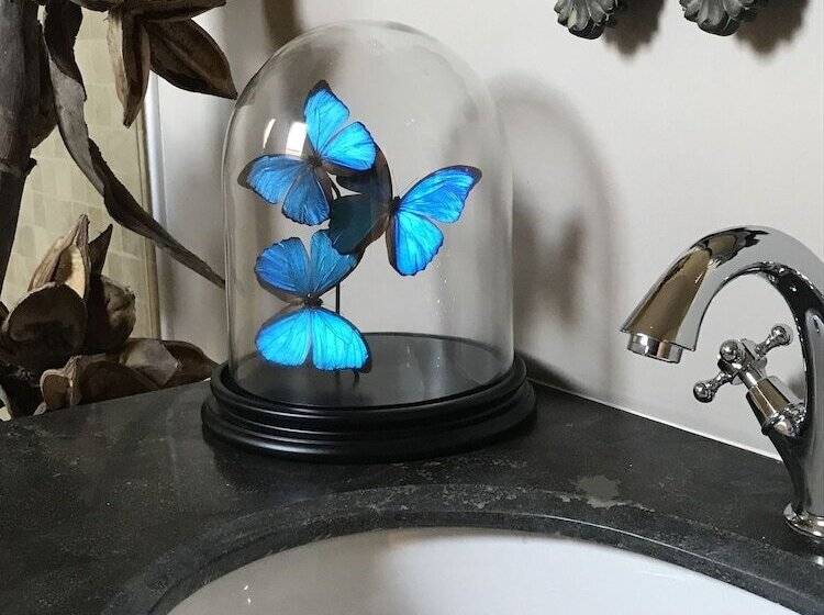 Пансион Chateau Valcreuse