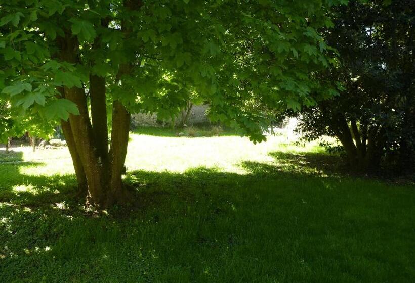 פנסיון La Petite Vigne