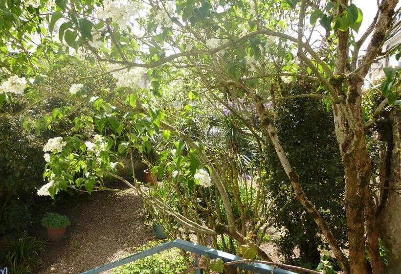 פנסיון La Petite Vigne