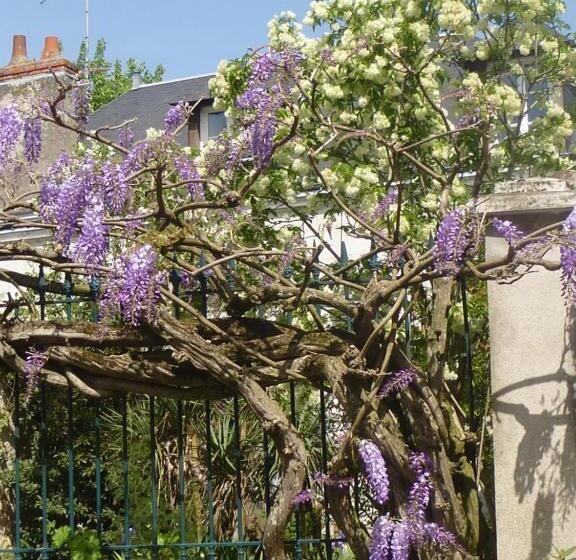 פנסיון La Petite Vigne