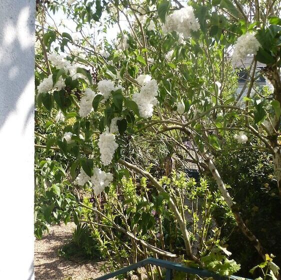 פנסיון La Petite Vigne