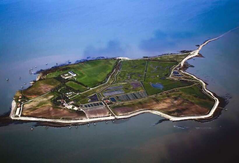 بنسيون Logis Des Lauriers Roses