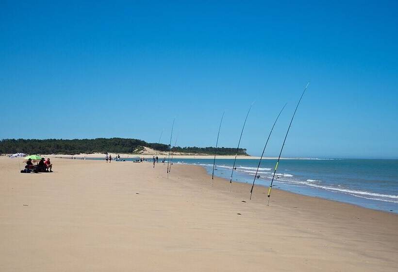 بنسيون Logis Des Lauriers Roses