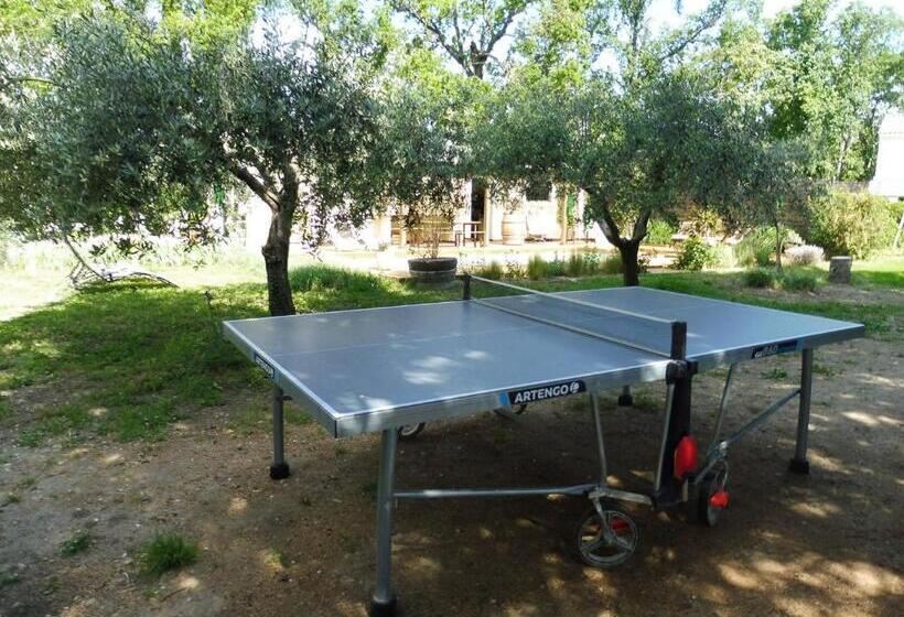 Пансион Mas Des Rabasses