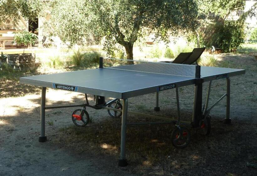 ペンション Mas Des Rabasses