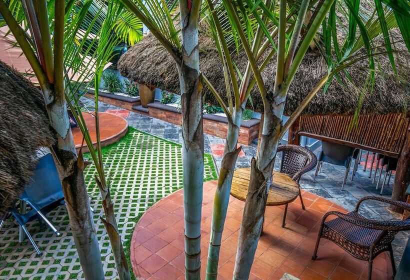 پانسیون Palm Gardens And Guest House