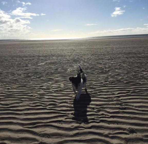 ペンション Pisgah Guesthouse