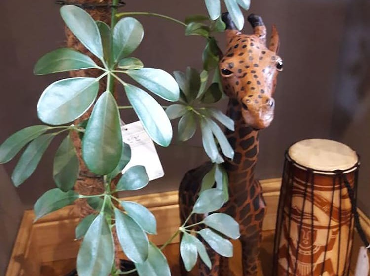 Simpsons Cottage   Grove Road Cottages