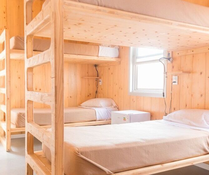 هاستل Wanderlust Jose Ignacio