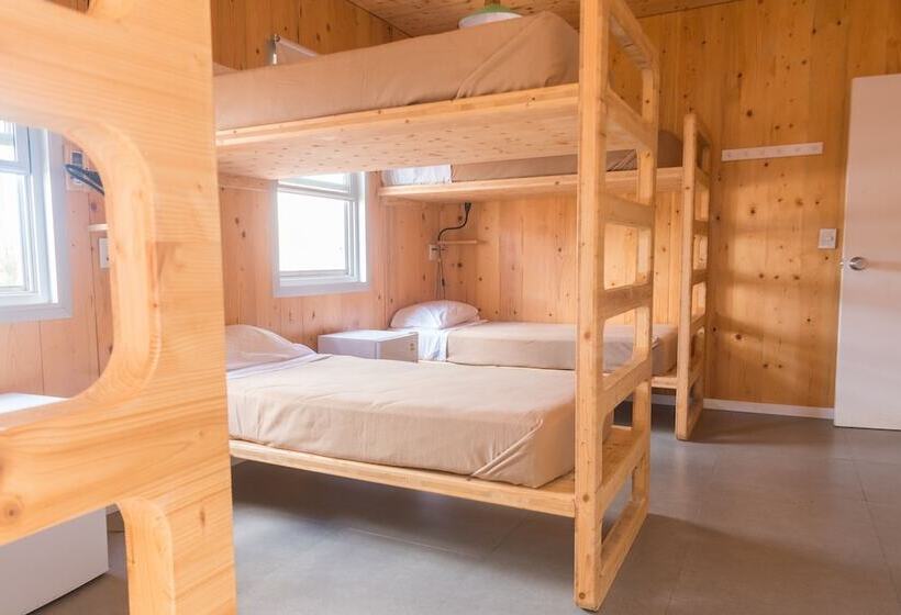 هاستل Wanderlust Jose Ignacio