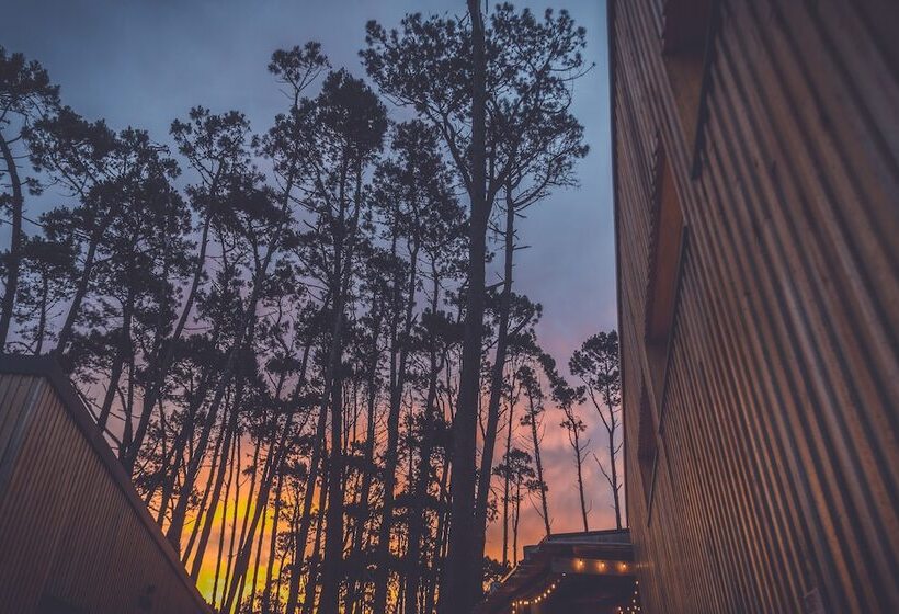 هاستل Wanderlust Jose Ignacio