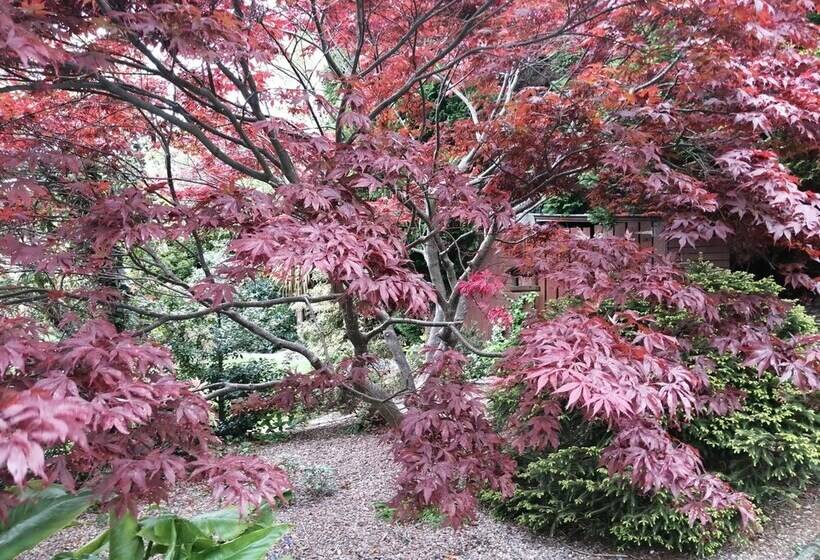 Ashfield Bed & Breakfast