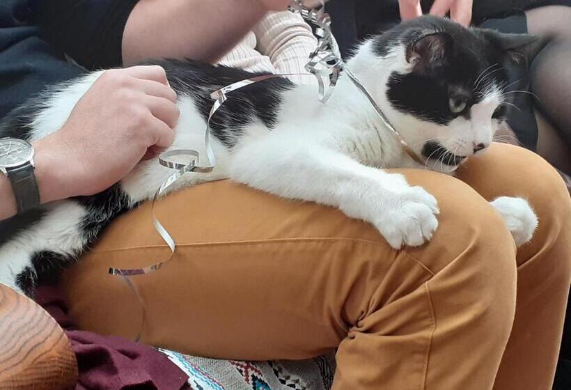 צימר La Maison Bleue