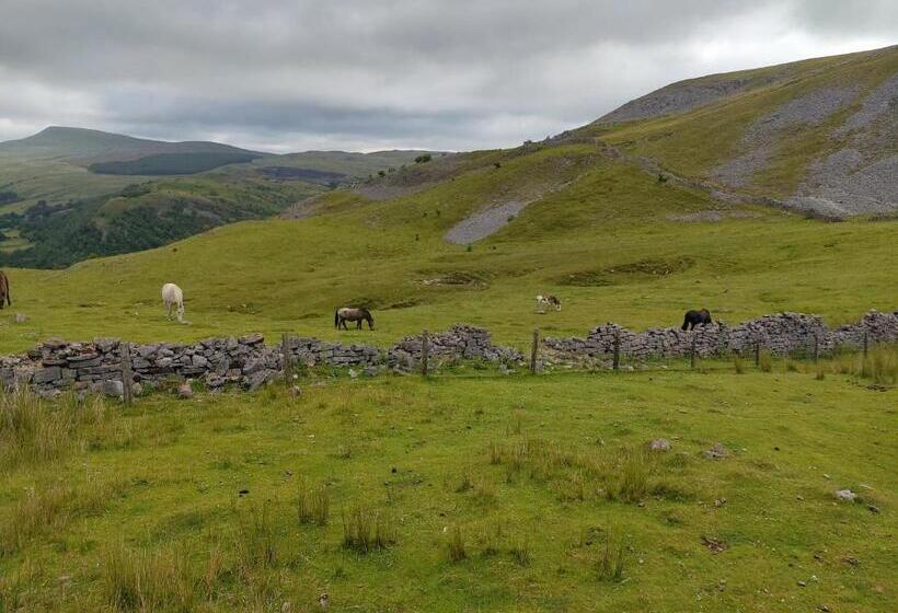 مبيت وإفطار Pentre Riding Stables