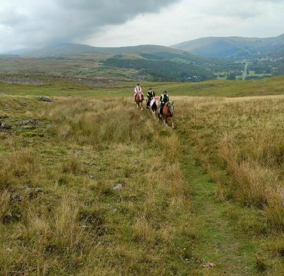 مبيت وإفطار Pentre Riding Stables