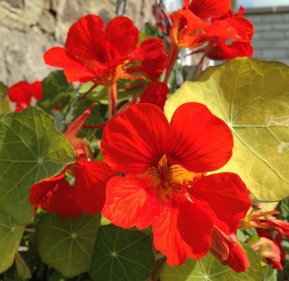 צימר Stoodleigh Court Coach House