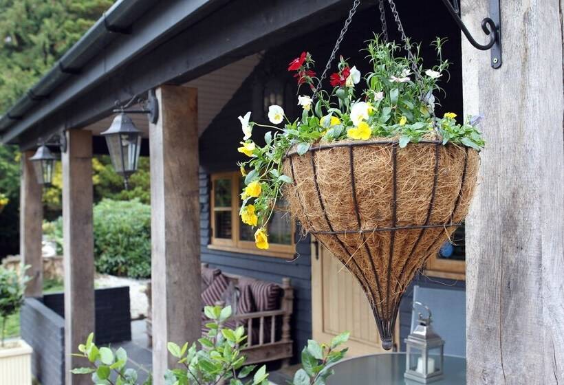 Bed and Breakfast The Devils Cradle