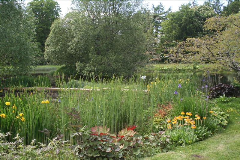 Bed and Breakfast The Wendy Hoose