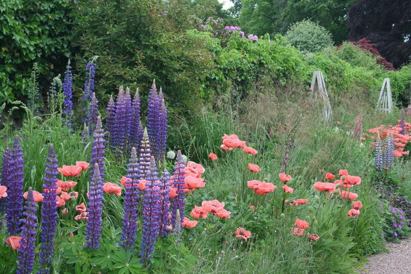 Bed and Breakfast The Wendy Hoose