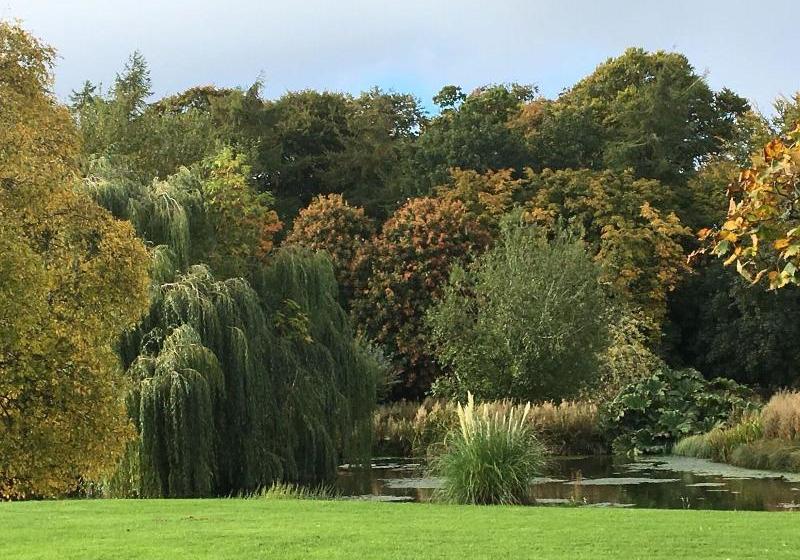 Bed and Breakfast The Wendy Hoose