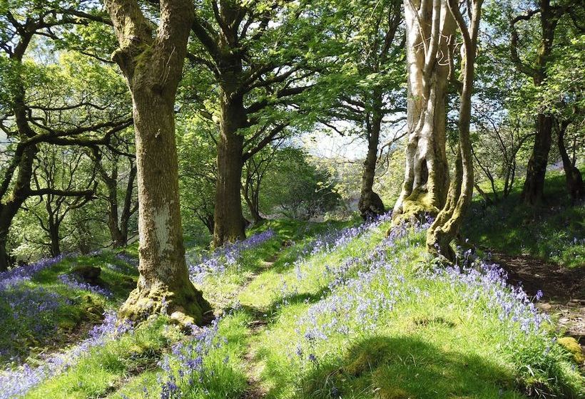 Bridge Cafe Bed And Breakfast