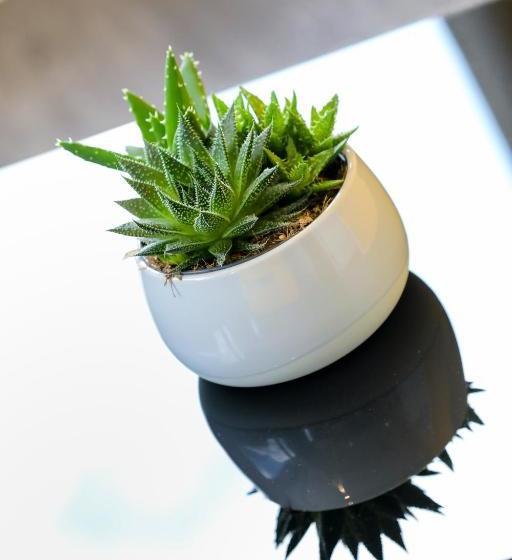 Dockside Apartments At Excel