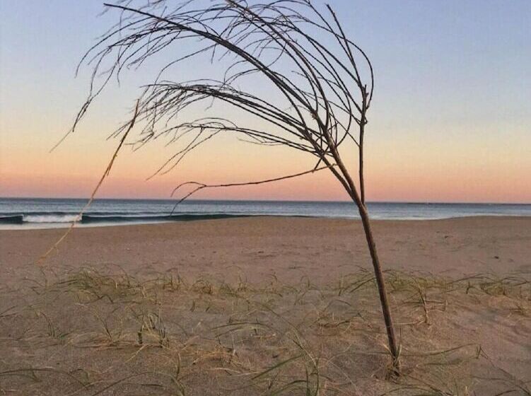 客栈 Posada Azul Marino