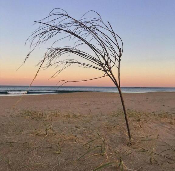 مسافرخانه Posada Azul Marino