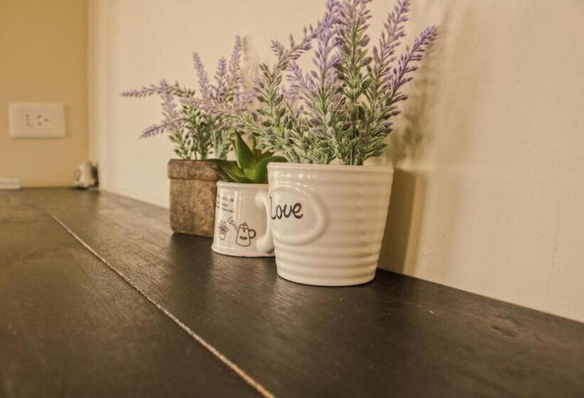 客栈 Posada Azul Marino