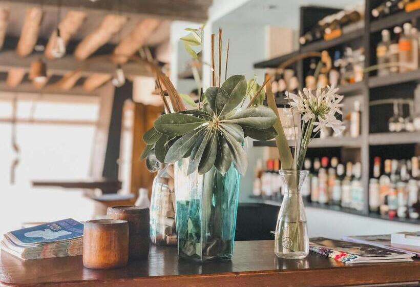 مسافرخانه Posada Azul Marino