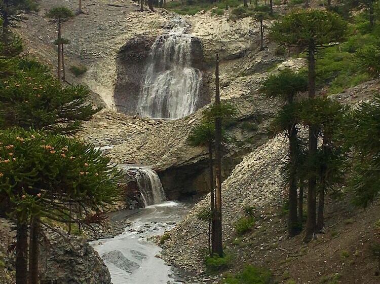 簡易ホテル Hostería De Montaña Los Duendes Del Volcán