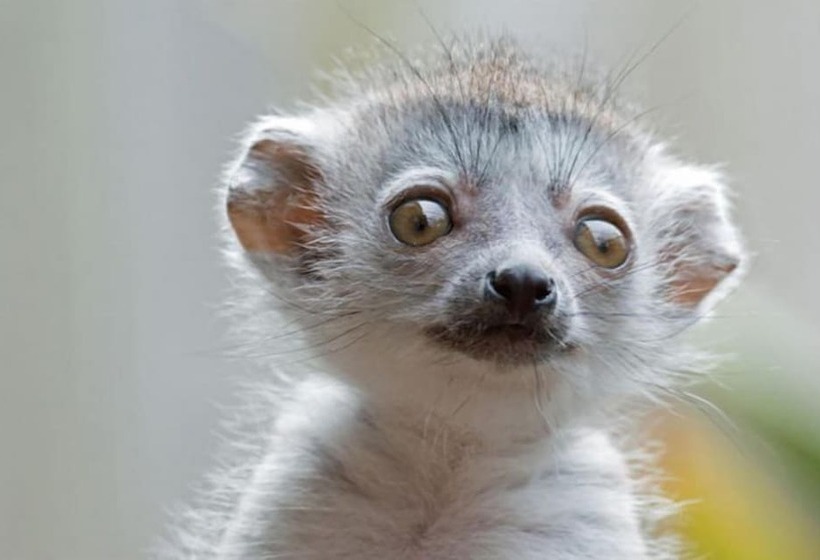 OYO Newquay Beach Hotel