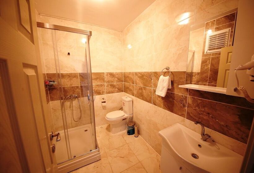 ホテル Safran Germia Palas