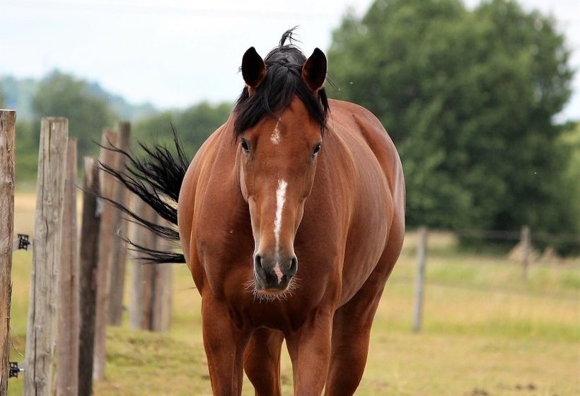 膳宿费 Chambres D Hôtes De Penelope