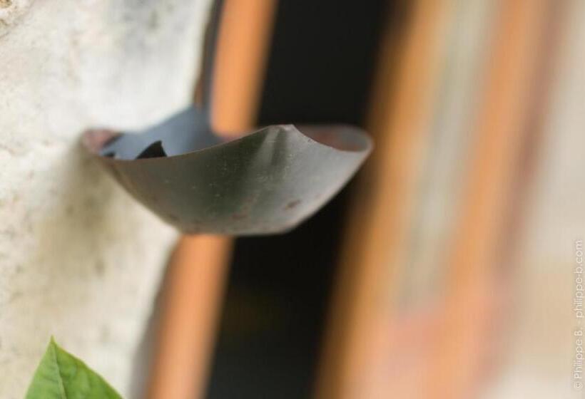 بنسيون Les Hauts De Chalonne