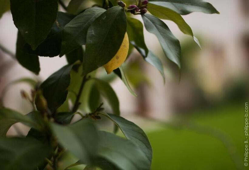 بنسيون Les Hauts De Chalonne