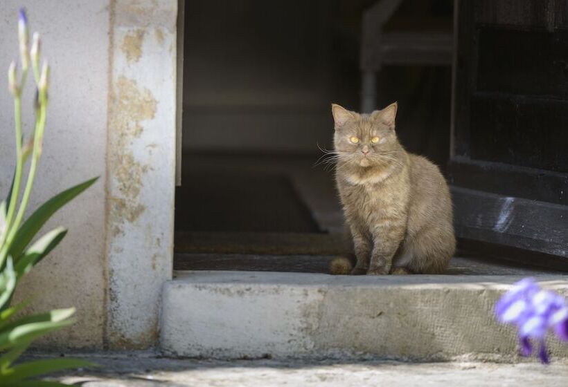 بنسيون Maison Le Village   Maison D’hôtes
