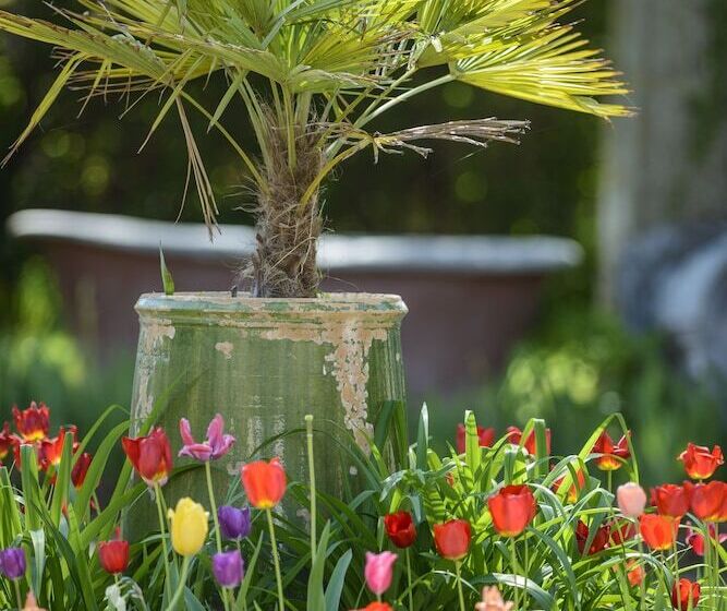 بنسيون Maison Le Village   Maison D’hôtes