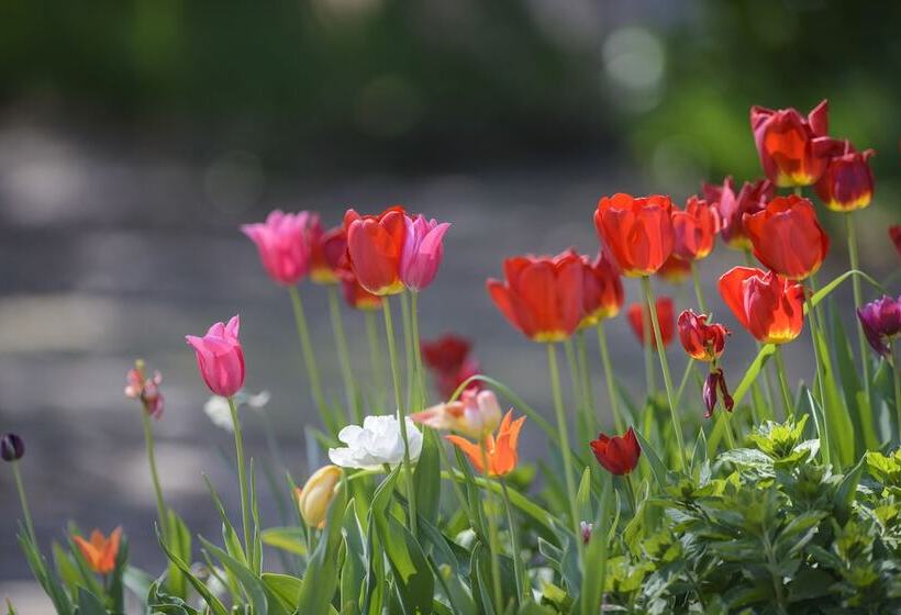 بنسيون Maison Le Village   Maison D’hôtes